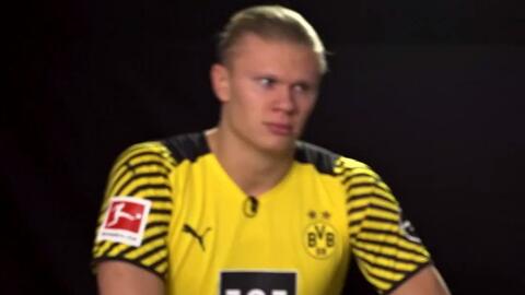 猛龙战胜开拓者终止两连败，成为本赛季第四支取得15个胜场球队